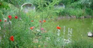 Journée des Jardin à Epernay le 14 juin 2026